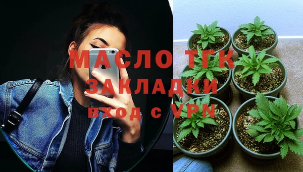 хмурый Вяземский